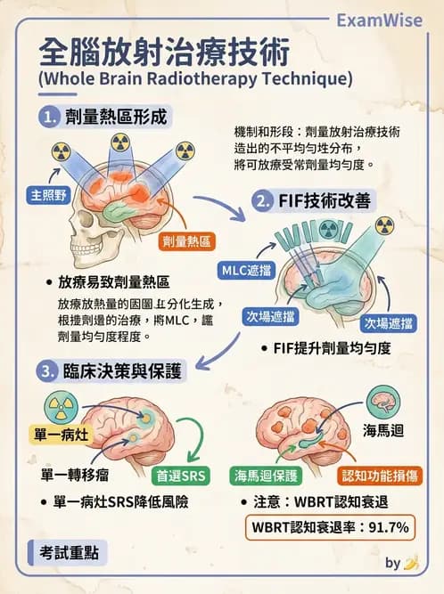 放射 - 疾病部位計畫與危急器官保護 - AI 圖文解析預覽