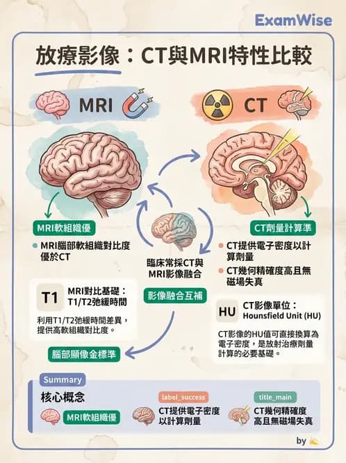 放射 - CT模擬攝影技術、流程與影像特性 - AI 圖文解析預覽