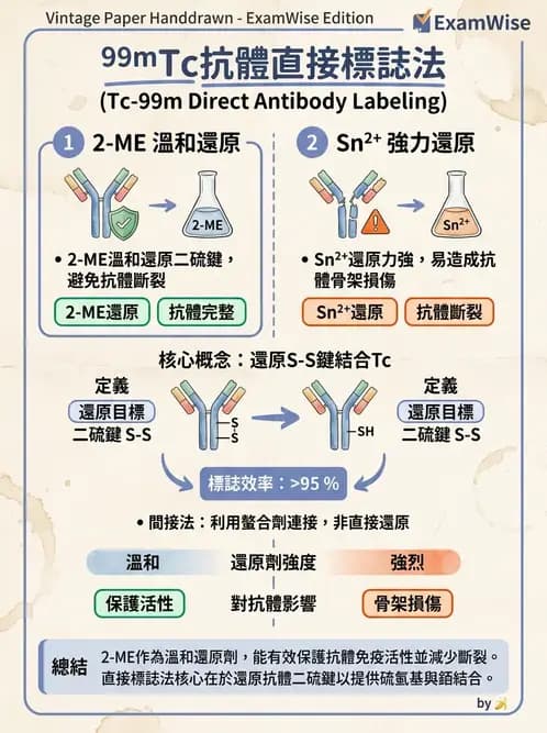 放射 - 抗體製備與標幟技術 - AI 圖文解析預覽