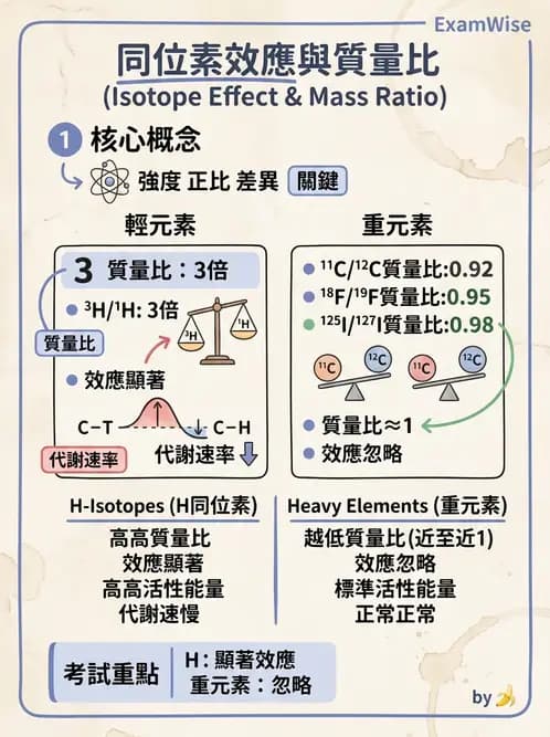 放射 - 肺肝膽與製劑通則 - AI 圖文解析預覽