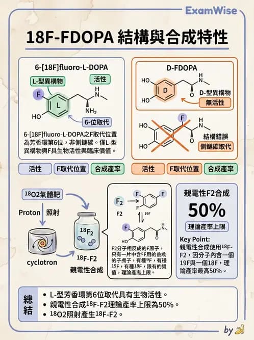 放射 - 腦神經PET藥物 - AI 圖文解析預覽
