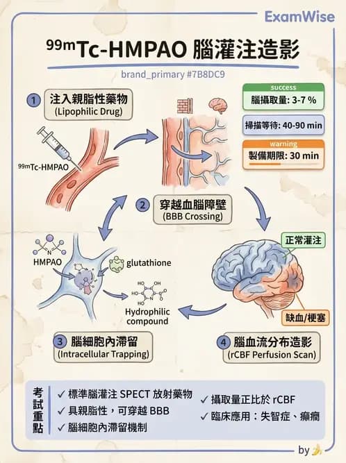 放射 - 腦部造影SPECT藥物 - AI 圖文解析預覽
