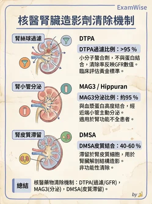 放射 - 腎臟造影SPECT藥物 - AI 圖文解析預覽