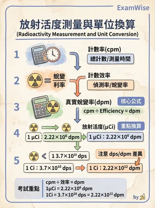 放射 - 核醫計數統計學 - AI 圖文解析預覽