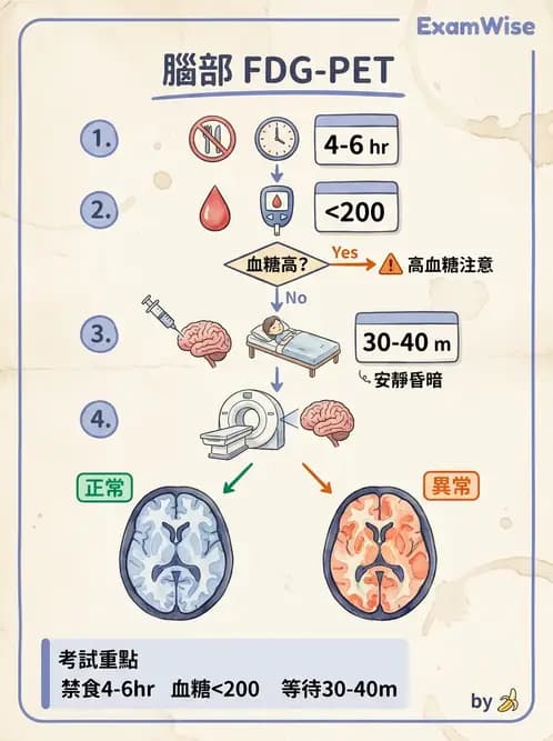 放射 - 腦部造影 - AI 圖文解析預覽