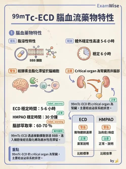 放射 - 腦部造影SPECT藥物 - AI 圖文解析預覽