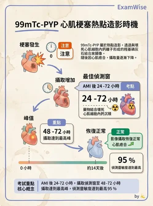 放射 - 心臟灌注造影 - AI 圖文解析預覽