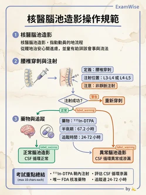 放射 - 腦部造影 - AI 圖文解析預覽