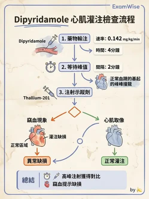 放射 - 心臟灌注造影 - AI 圖文解析預覽