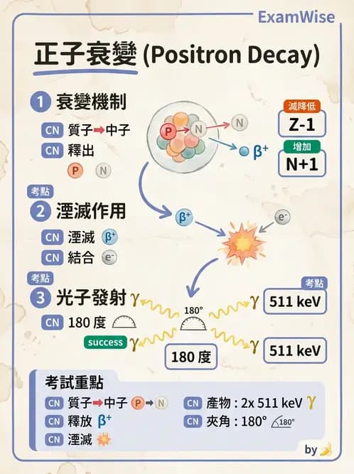 放射 - 蛻變類型與計算 - AI 圖文解析預覽