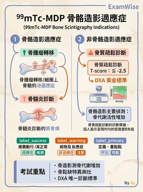 放射 - 骨骼造影 - AI 圖文解析預覽