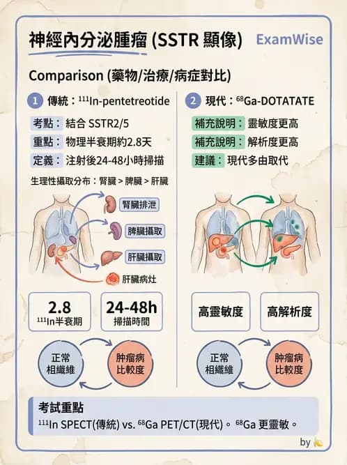 放射 - 標靶受體腫瘤造影 - AI 圖文解析預覽