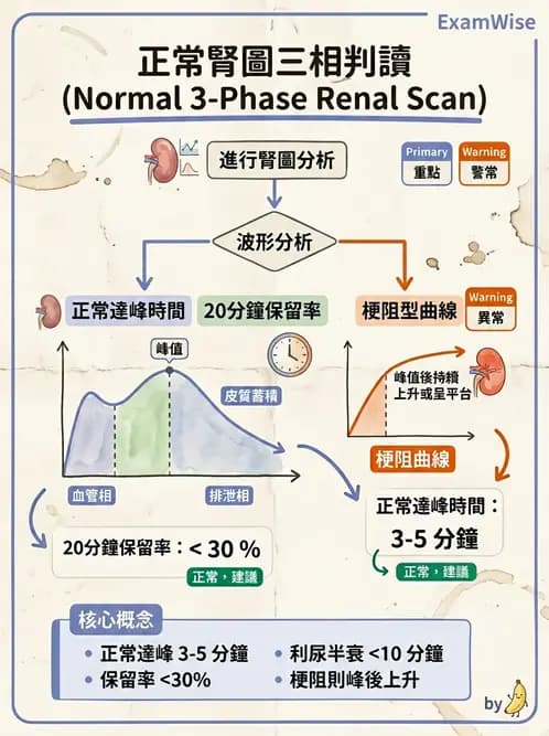 放射 - 腎臟造影 - AI 圖文解析預覽