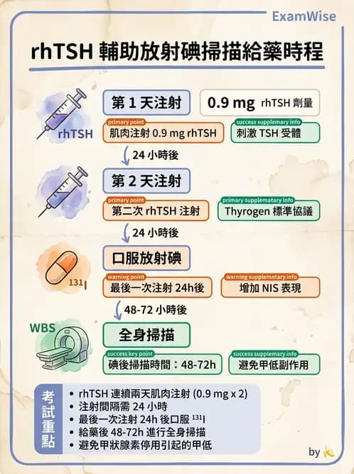 放射 - 甲狀腺造影 - AI 圖文解析預覽