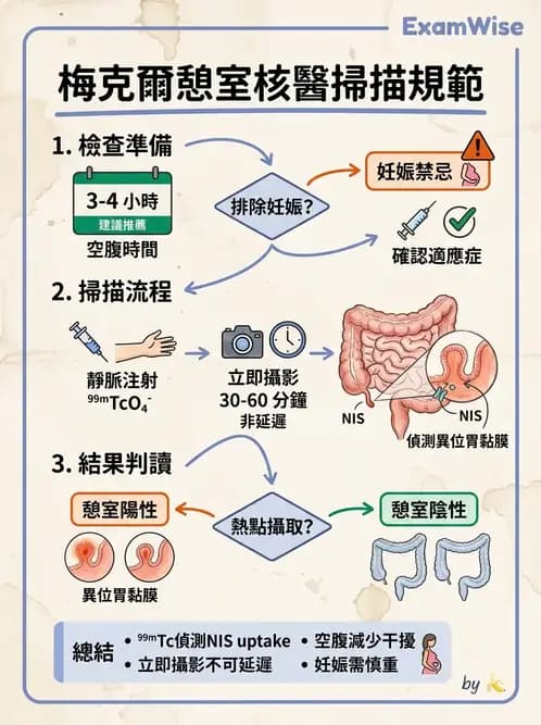 放射 - 消化道造影 - AI 圖文解析預覽
