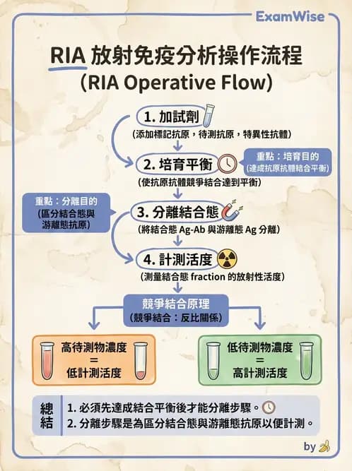 放射 - RIA與IRMA分析原理 - AI 圖文解析預覽