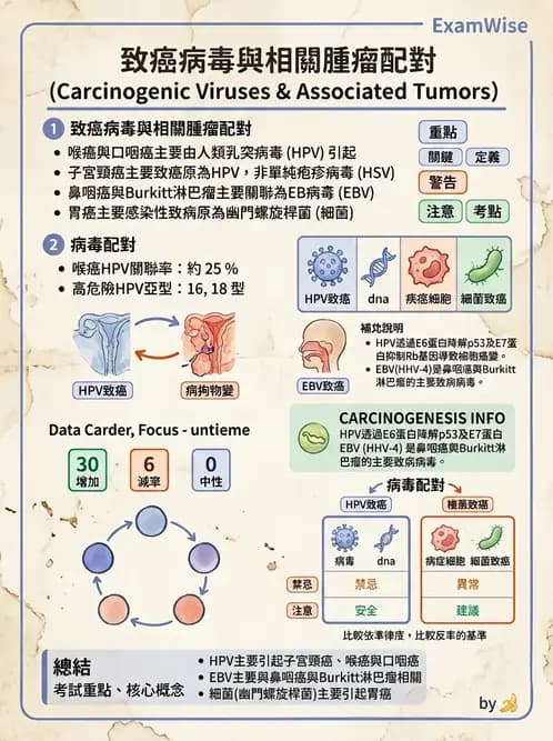 放射 - 惡性腫瘤 - AI 圖文解析預覽