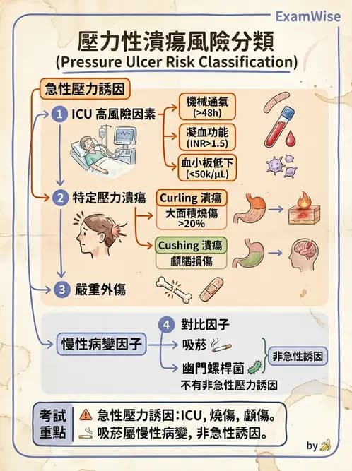 放射 - 口腔及腸胃道疾病 - AI 圖文解析預覽