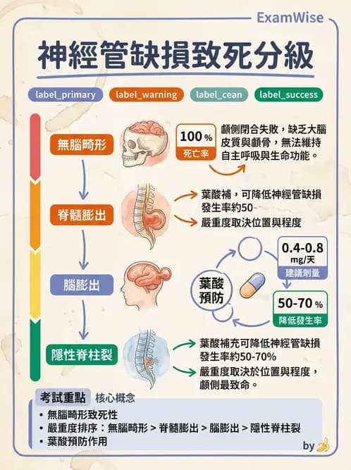 放射 - 神經系統疾病 - AI 圖文解析預覽