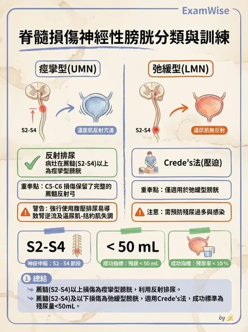 護理師 - 脊髓損傷與神經肌肉疾病 - AI 圖文解析預覽