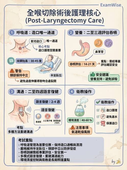 護理師 - 耳鼻喉疾病 - AI 圖文解析預覽