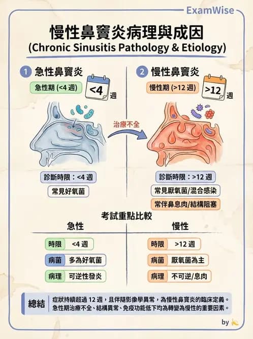 護理師 - 耳鼻喉疾病 - AI 圖文解析預覽
