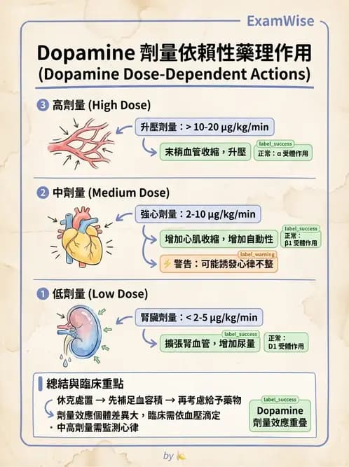 護理師 - 休克與敗血症護理 - AI 圖文解析預覽
