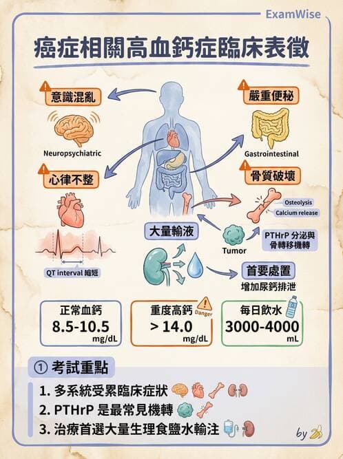 護理師 - 放療、疼痛管理與安寧護理 - AI 圖文解析預覽