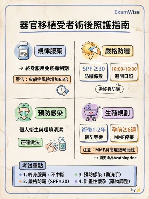 護理師 - 器官移植與AIDS - AI 圖文解析預覽