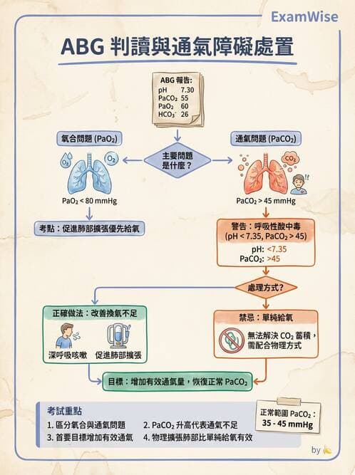 護理師 - 呼吸衰竭與胸腔護理 - AI 圖文解析預覽