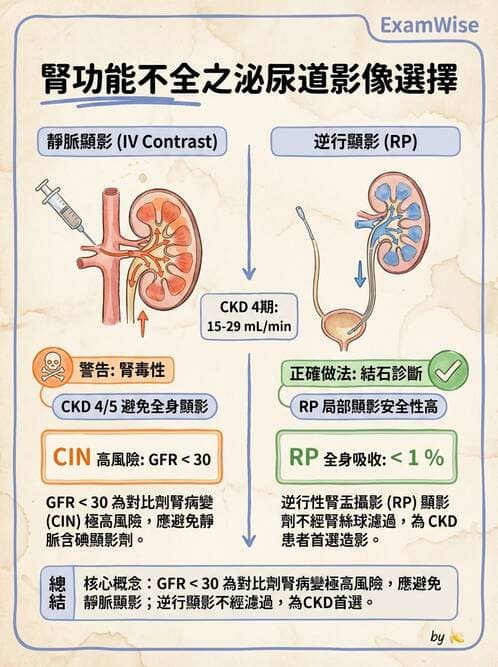 護理師 - 泌尿道疾病與排尿障礙 - AI 圖文解析預覽