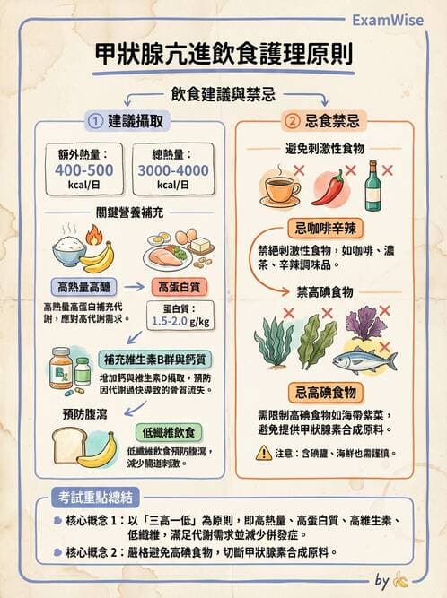 護理師 - 甲狀腺與副甲狀腺疾病 - AI 圖文解析預覽