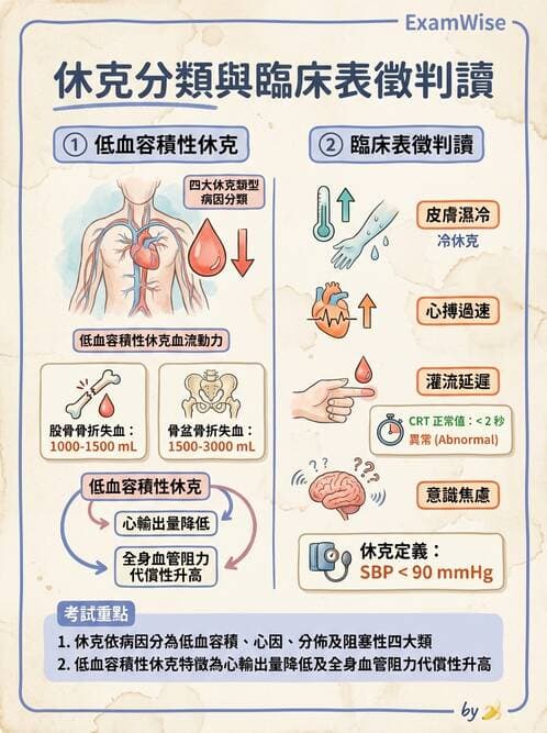 護理師 - 休克與敗血症護理 - AI 圖文解析預覽
