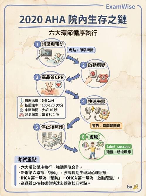 護理師 - 休克與敗血症護理 - AI 圖文解析預覽