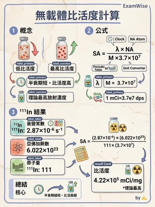 放射 - 放射性活度與衰變計算 - AI 圖文解析預覽