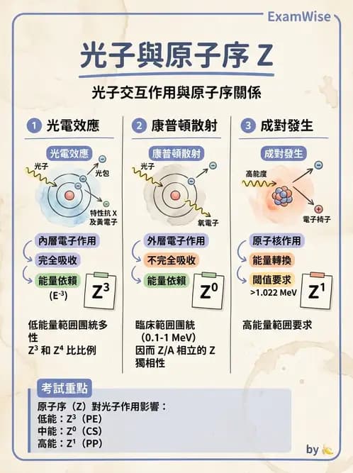 放射 - 光子作用機制 - AI 圖文解析預覽