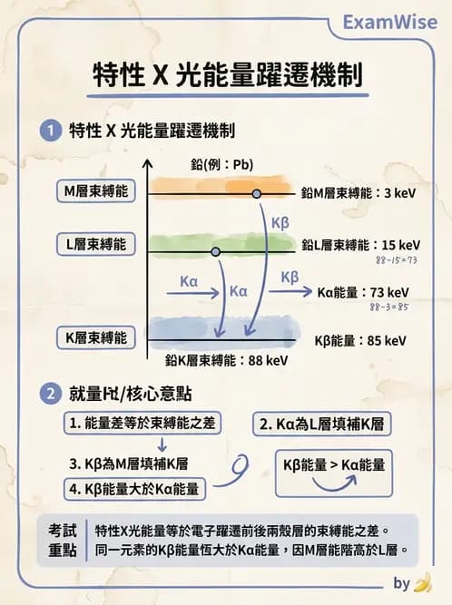 放射 - X光產生與特性 - AI 圖文解析預覽