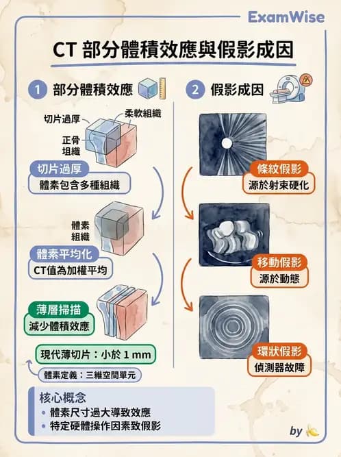 放射 - 透視與數位影像 - AI 圖文解析預覽