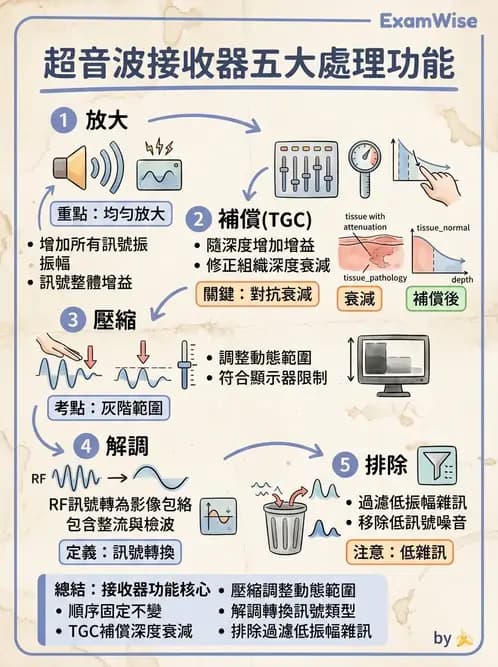 放射 - 超音波成像與都卜勒 - AI 圖文解析預覽