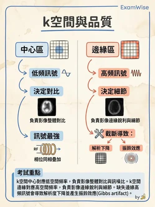 放射 - 空間編碼與影像品質 - AI 圖文解析預覽