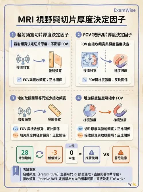 放射 - 空間編碼與影像品質 - AI 圖文解析預覽