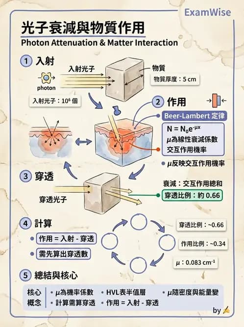 放射 - 光子衰減與係數計算 - AI 圖文解析預覽