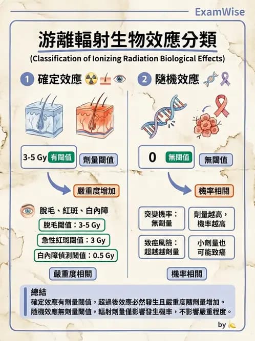 放射 - 全身性輻射效應 - AI 圖文解析預覽