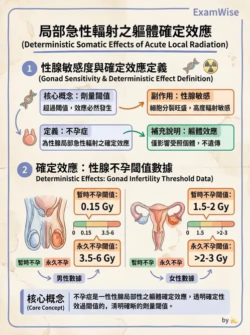 放射 - 全身性輻射效應 - AI 圖文解析預覽
