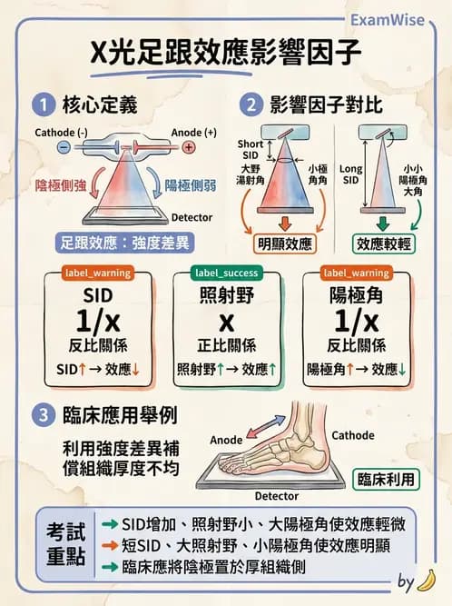 放射 - X光球管與高壓電路 - AI 圖文解析預覽