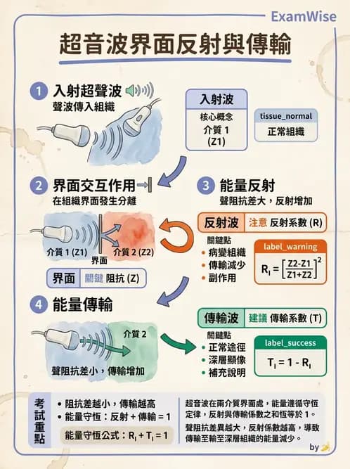 放射 - 超音波物理與系統原理 - AI 圖文解析預覽