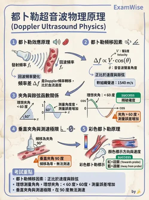 放射 - 都普勒超音波 - AI 圖文解析預覽
