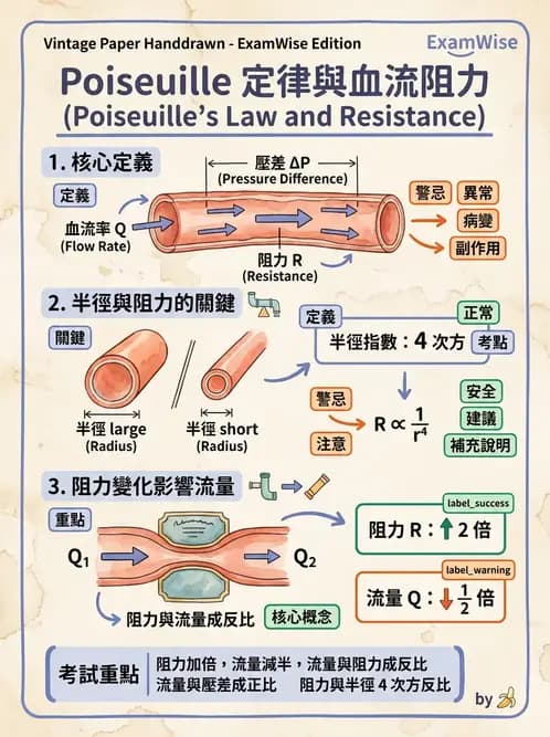 放射 - 都普勒超音波 - AI 圖文解析預覽