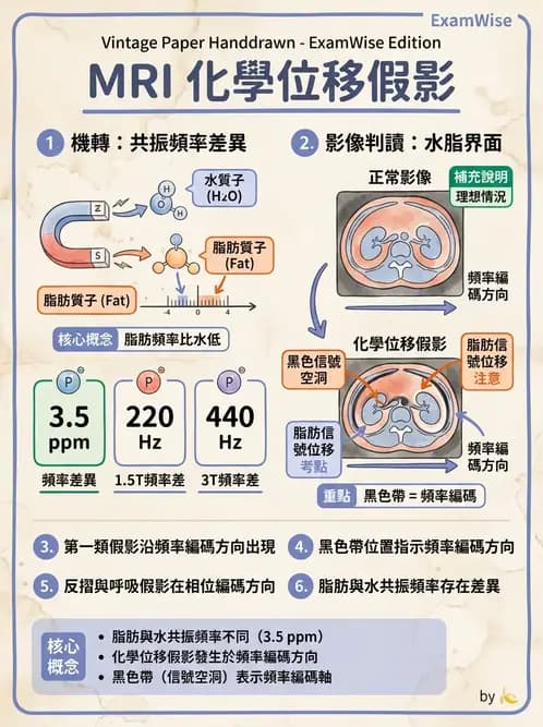 放射 - 梯度線圈與空間編碼 - AI 圖文解析預覽