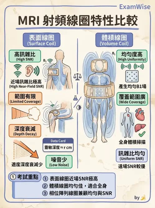 放射 - 射頻系統與線圈 - AI 圖文解析預覽
